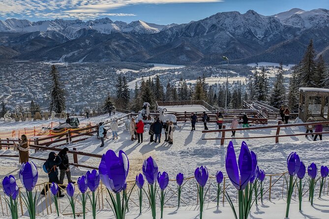 Krakow Zakopane Cable Car Vodka Cheese and Hot Springs Tour - Price and logistics: why this $111.58 package can be a smart move