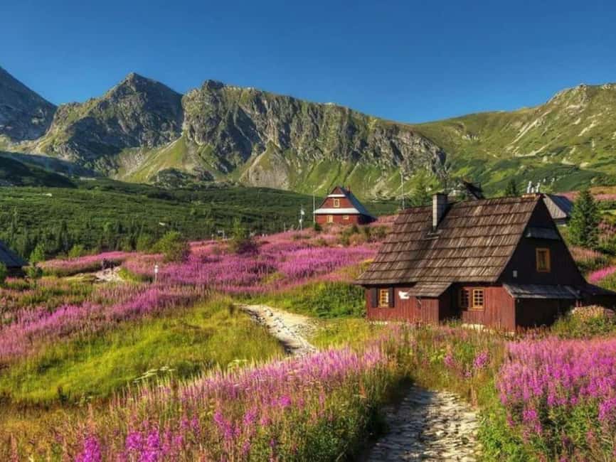 Krakow: Zakopane, Morskie Oko, and Cheese Tasting Tour - Morskie Oko Views, Photos, and a Mountain Lunch Break