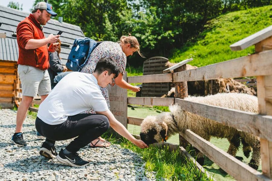Krakow: Zakopane One Day Trip with Funicular & Thermal Pools - Highlander Cheese and the Old Mountain Hut Stop