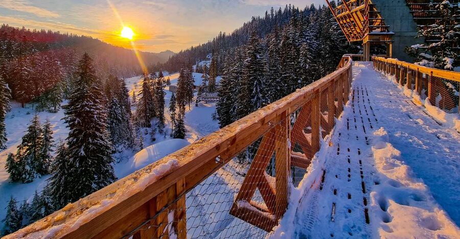 Krakow: Zakopane, Thermal Baths and Gorce Park Treetop Walk - From Krakow to the mountains: a small-group day that stays manageable