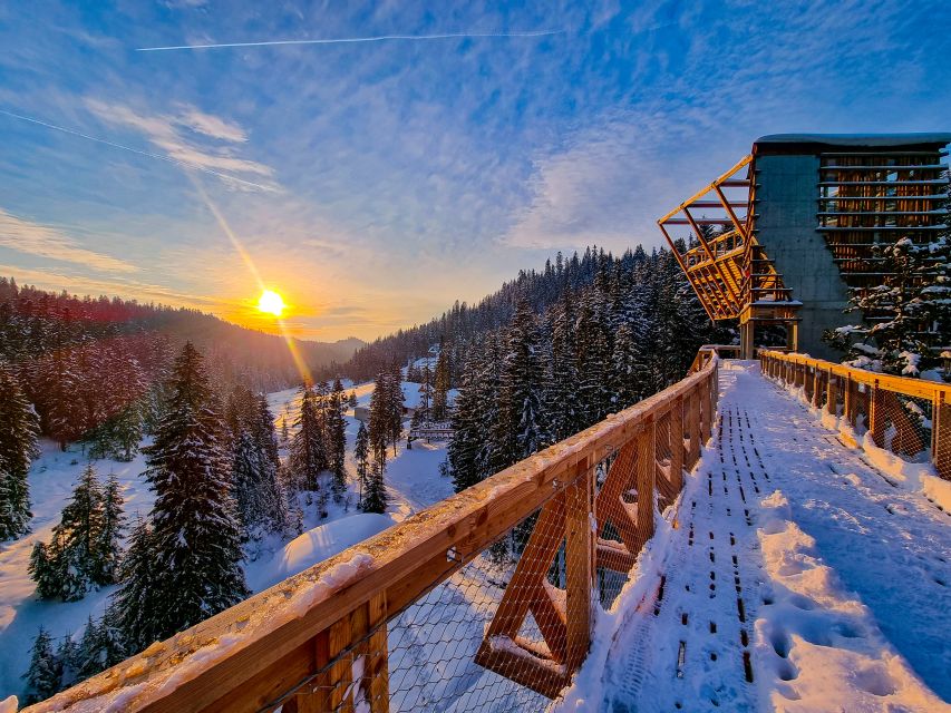 Krakow: Zakopane, Thermal Baths and Gorce Park Treetop Walk - Making time for the whole natural center: towers, treetops, and breathing room