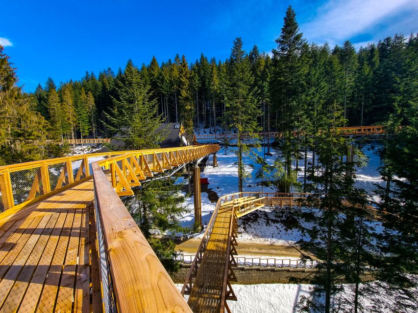 Krakow: Zakopane, Thermal Baths and Gorce Park Treetop Walk - Thermal baths in Zakopane: mineral water plus real hydro-massage