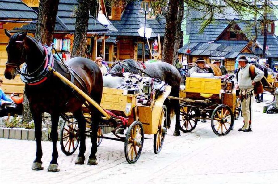 KRAKOW ZAKOPANE TOUR CABLE CAR THERMAL BATHS & HOTEL PICKUP - Food, walking, and getting around: small tips that save time
