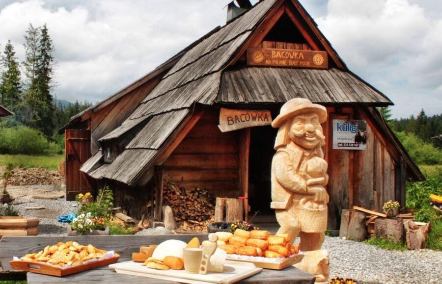 Krakow : Zakopane Tour + Thermal Pools with Hotel Pickup - Who this Kraków-to-Zakopane tour suits best
