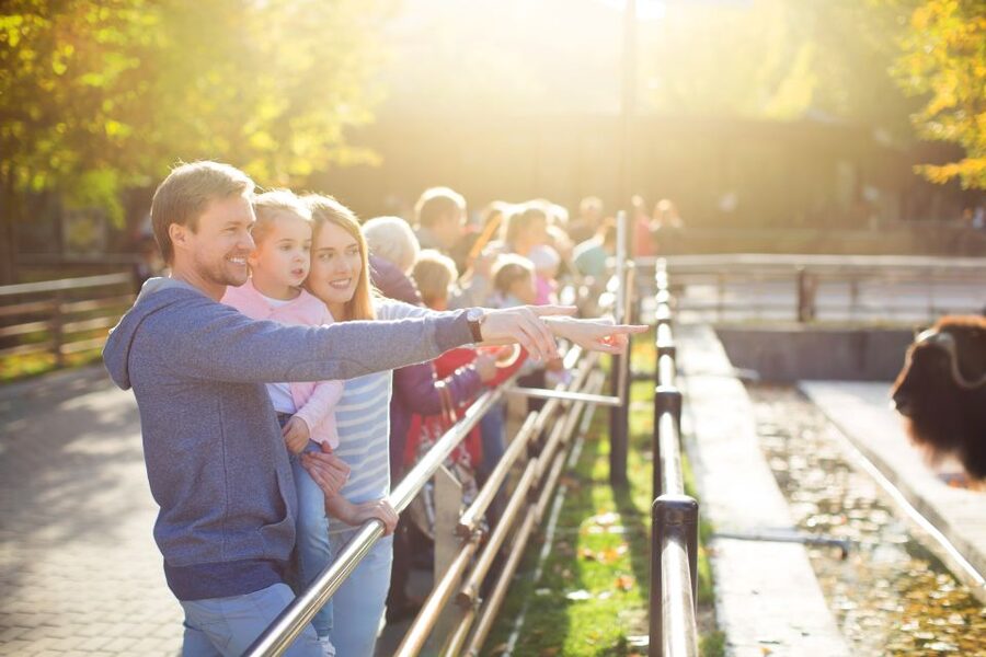 Krakow: Zoo Tour with Private Transport and Tickets - Who This Tour Fits Best (And Who Might Skip It)