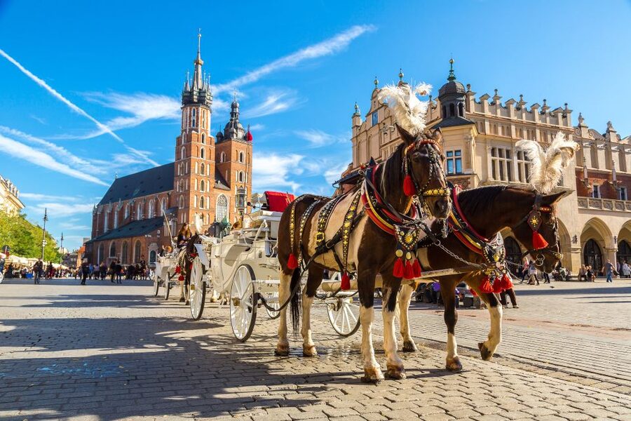 Krakow: Zoo Tour with Private Transport and Tickets - The Booking Decision: Should You Book This Krakow Zoo Tour?