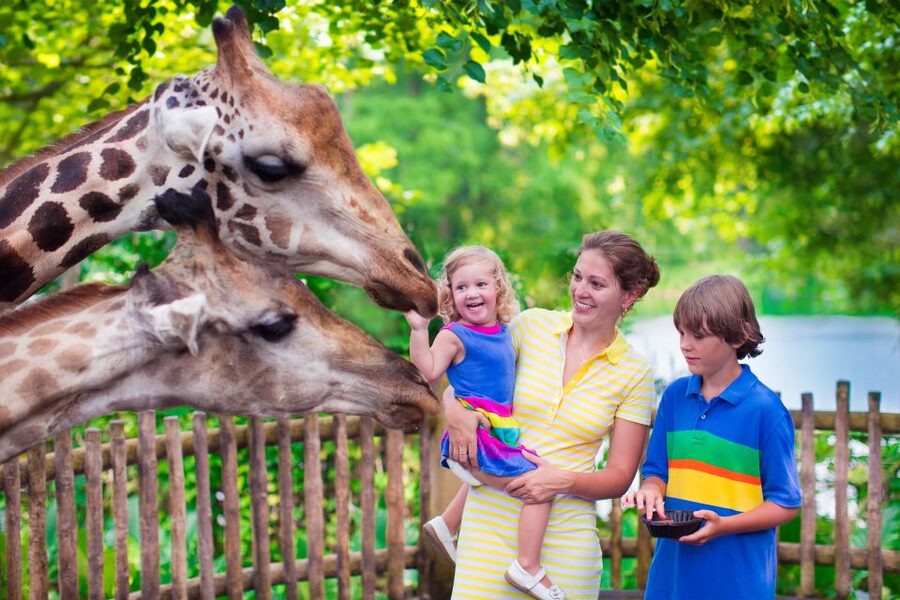 Krakow: Zoo Tour with Private Transport and Tickets - Skip-The-Line Tickets: Trade Queues For Animal Time
