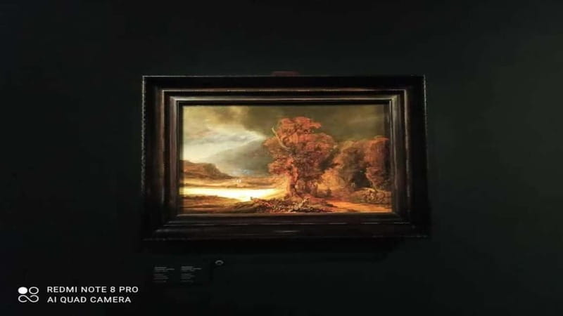 Museo Czartorisky : Visita in Lingua Italiana salta fila… - Entering the Czartoryski Museum without wasting your morning