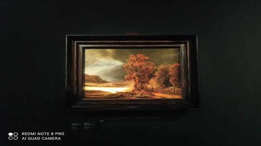 Museo Czartoryski: Visita in italiano e salta la fila - The Italian guide experience: what you get and what to watch for