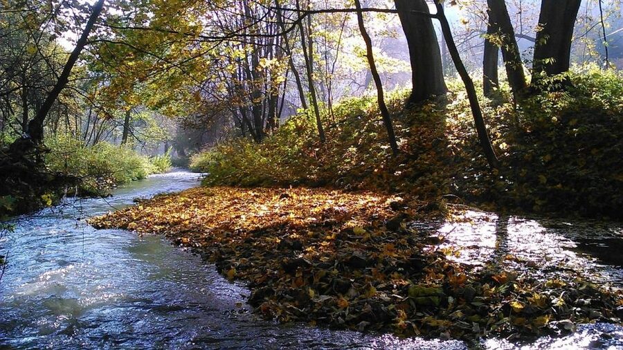 Ojcow National Park: Full-Day Trip from Krakow - Who this tour suits best (and who should skip it)