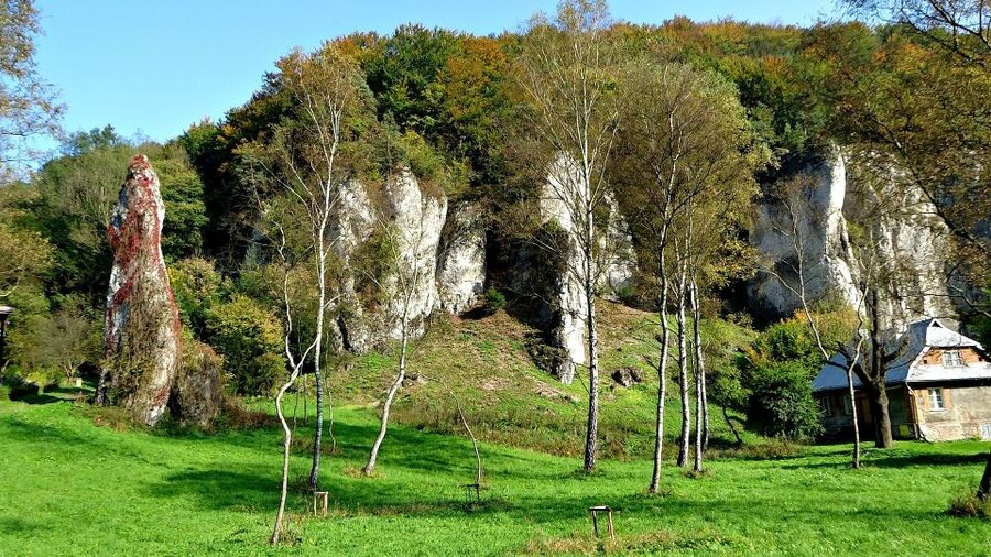 Ojcow National Park: Full-Day Trip from Krakow - Bus transfer into the park core: saving energy for the castle time