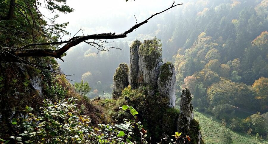 Ojcow National Park: Full-Day Trip from Krakow - Pieskowa Skala castle: a well-preserved Polish Renaissance property