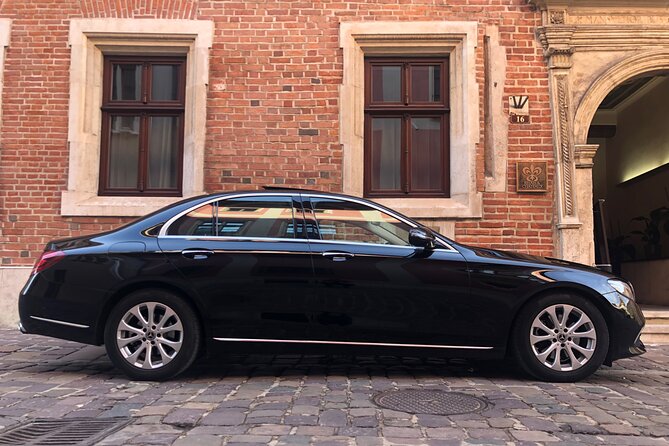 One day tour to Auschwitz-Birkenau & Salt Mine from Krakow with private driver - Admission tickets, a pro guide, and why the price makes sense for the format
