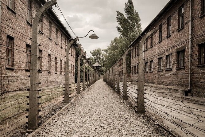 Private Guided Tour to Auschwitz & Birkenau from Krakow - Auschwitz II-Birkenau: seeing the scale and why time allocation matters