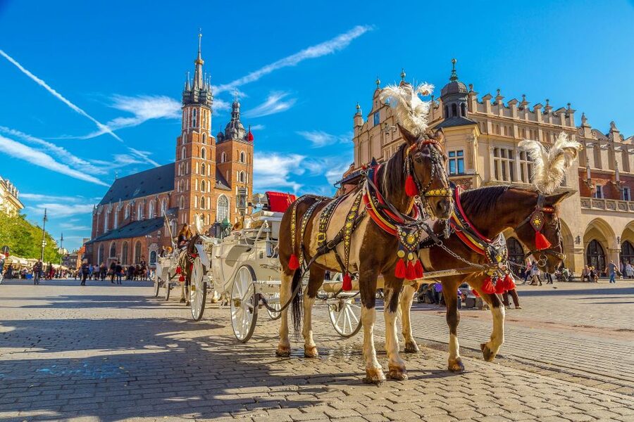 Private Krakow Tour: St. Mary’s, Cloth Hall & More - Collegium Maius courtyard views: learning in 1364 context