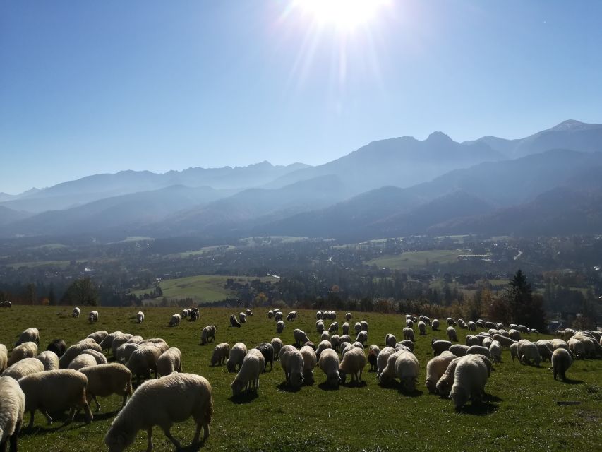 Rafting on Dunajec & Zakopane Tour – Day Trip from Krakow - Dunajec River Rafting: Why the “Calm” Choice Is the Smart One