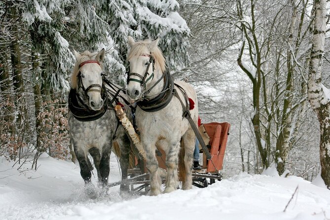 Sleigh Ride & Bonfire in Zakopane with Funicular - Private Trip - Key Highlights You’ll Feel From the Start