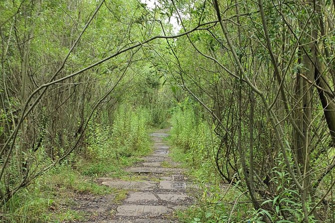 TOUR AL CAMPO DE CONCENTRACIÓN DE PLASZOW. El campo de la Lista de Schindlert. - Barracones de prisioneros y plaza central: cómo se ordenaba el encierro