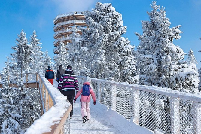 Treetop Walk in Slovakia and Thermal Baths from Krakow - Stop One: Chocholowskie Termy Thermal Pools (What’s Included and What Costs Extra)