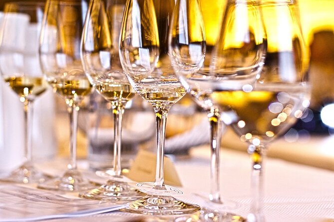 Visit to a local Vineyard - 4 wines, local snacks, and what to pay attention to