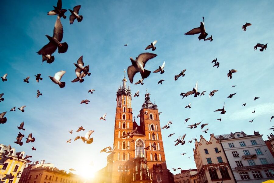 Wawel Castle & Cathedral Skip the Line Small Group Tour - Key things you’ll notice fast