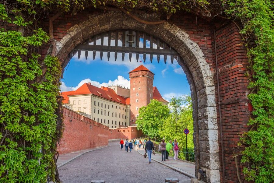 Wawel Castle & Cathedral Skip the Line Small Group Tour - Wawel Hill first: courtyards, kings, and the skyline moment