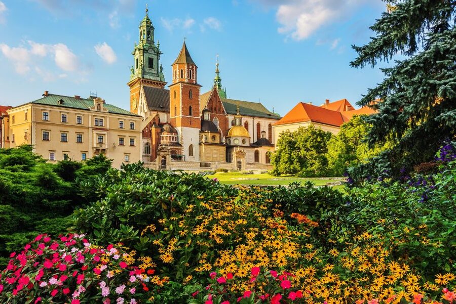 Wawel Castle & Cathedral Skip the Line Small Group Tour - Choosing between Cathedral, State Rooms, and Royal Private Apartments