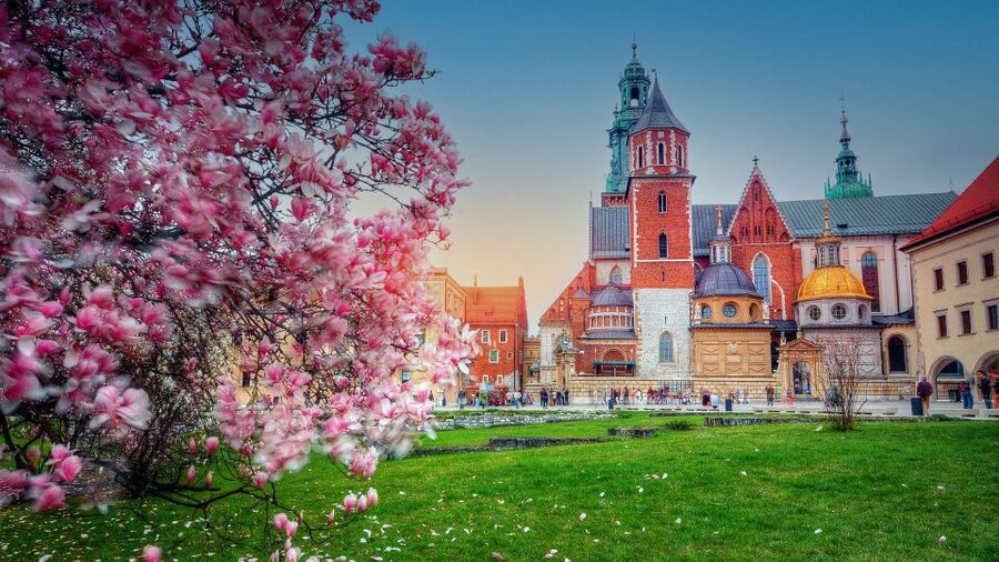 Wawel Hill Tour with Audio Guide - Up Kanonicza Street and through Herbowa Gate