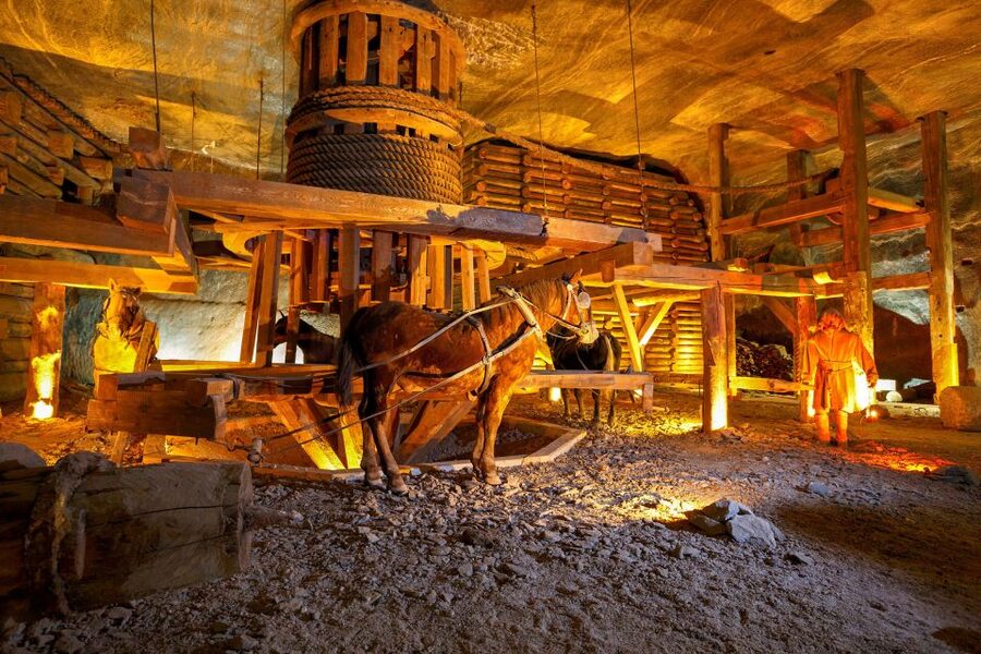 Wieliczka Salt Mine Tour from Krakow - What the salt carvings and timber tell you