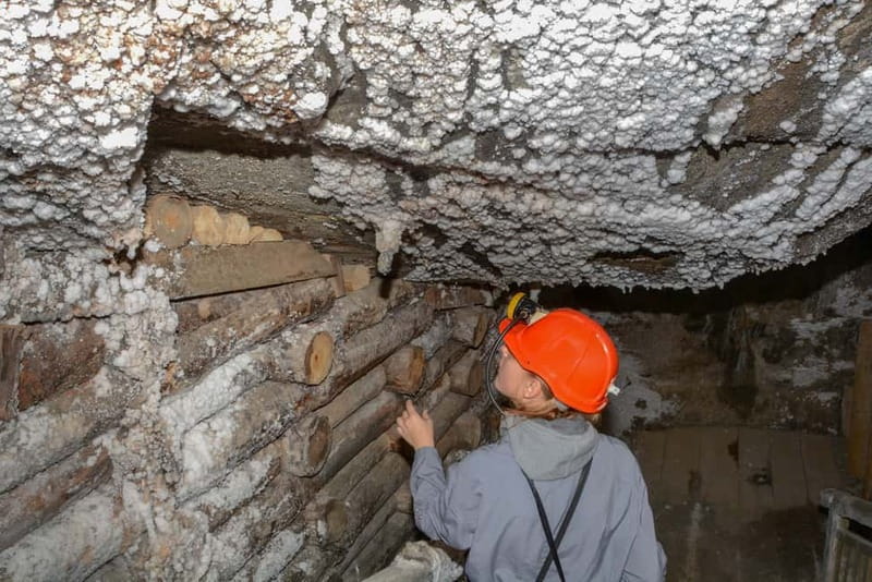 Wieliczka Salt Mine Tour from Krakow - Should you book the Wieliczka Salt Mine Tour from Krakow?