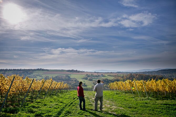 Wieliczka Vineyard: Wine tasting with local snacks - Key Highlights You’ll Care About