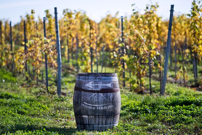 Wieliczka Vineyard: Wine tasting with local snacks - The 10:00 Plan: Exactly How Your 1.5 Hours Unfolds