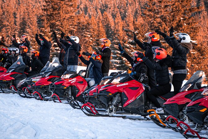Zakopane: 3 hours Snowmobiles Guided Tour with bonfire and meal - Your Snowmobile Ride Setup in Single- or Double-Seated Style