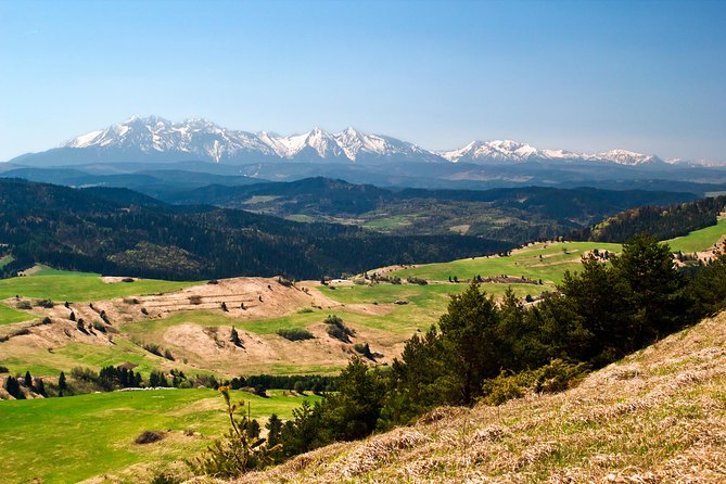 Zakopane and Tatras Mountains Day Tour from Krakow - Zakopane’s wooden Podhale identity (including the Witkacy connection)
