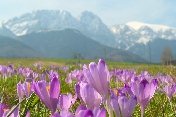 Zakopane and Tatras Mountains Day Tour from Krakow - Guides can make or break the pacing