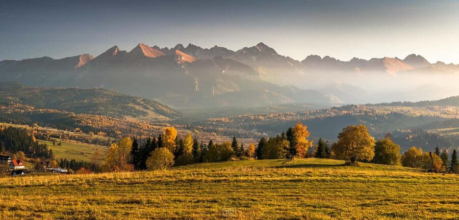 Zakopane: Buggy Off‑Road Adventure, Mountain Views & Bonfire - Price and Logistics: What You Actually Pay for the Buggy