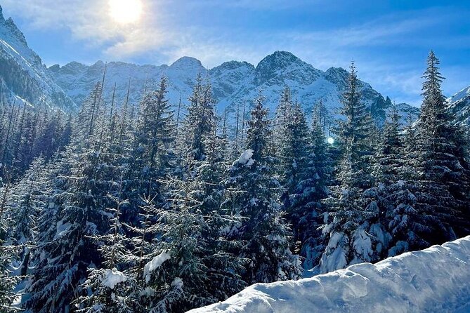 Zakopane Day Tour with Hotel Pick up and Optional Thermal Spa - Stop 3: Witow shepherd hut tasting of smoked cheese and drinks