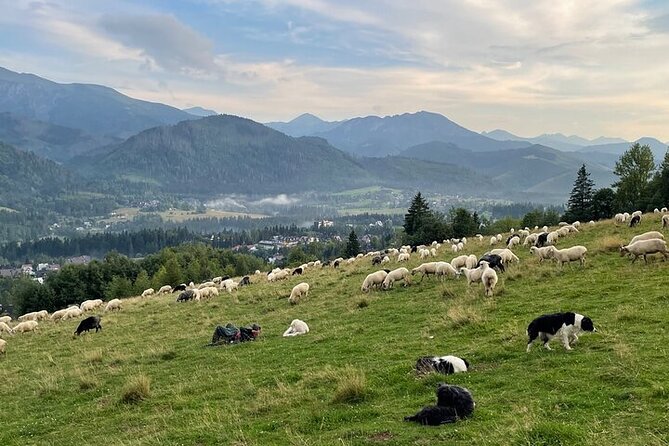 Zakopane full day tour with cable car & thermal baths from Krakow - Chochołowskie Thermal Baths (2.5 hours): the best way to end a mountain day