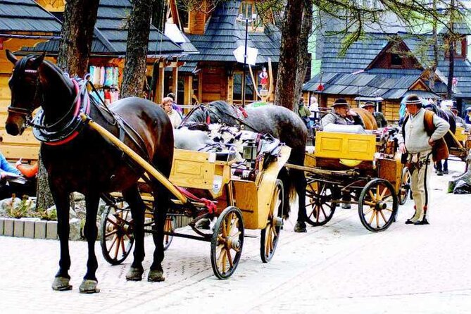 Zakopane full day tour with cable car & thermal baths from Krakow - Chochołów wooden village (UNESCO): short, focused, and worth the photo stops