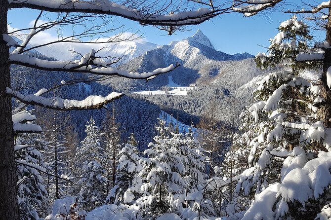 Zakopane & Gubalowka Funicular - Private Winter Tour from Krakow - Getting picked up in Krakow at 8:00 am, then letting the schedule handle itself