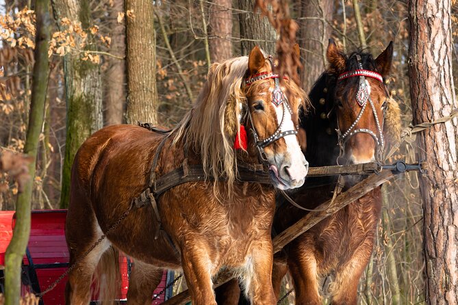 Zakopane Horse-Drawn Rides with Local Guide and Food Tasting - Bonfire Time: Regional Food and Liqueur Tasting