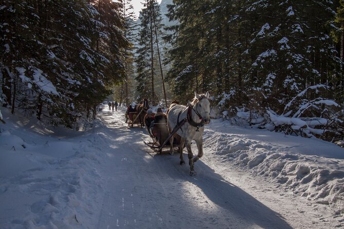 Zakopane Horse-Drawn Rides with Local Guide and Food Tasting - The Driver and the English-Speaking Setup