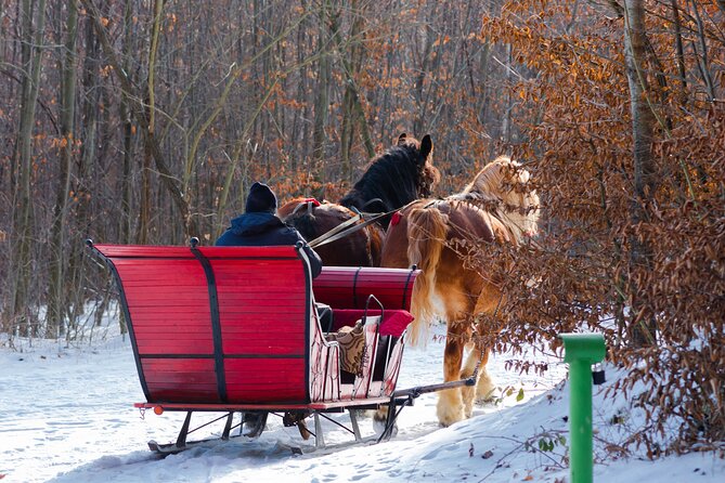 Zakopane Horse-Drawn Rides with Local Guide and Food Tasting - Who This Tour Suits Best (and Who Might Skip It)