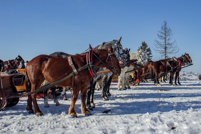 Zakopane Horse-Drawn Rides with Local Guide and Food Tasting - Pickup, Timing, and What to Expect for 3 Hours in Zakopane