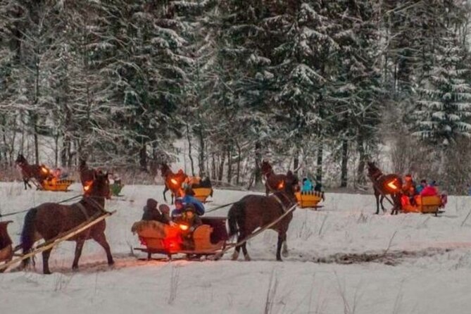 Zakopane Sleigh Ride in Tatra Mountains - Starry Nights Away From City Lights: What Makes the Timing Worth It