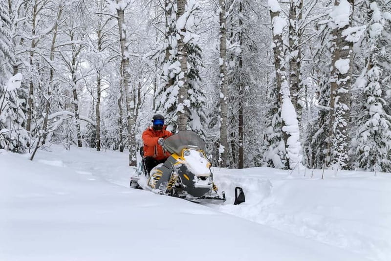 Zakopane: Snowmobiles (or Quads), Thermal Pools & Tasting - Zakopane snowmobile (or quad/buggy): the adrenaline plus the big views