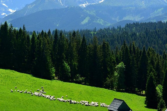 ZAKOPANE & THERMAL SPRINGS, Funicular, Cheese Tasting - Why this Zakopane day trip works (even though it’s long)
