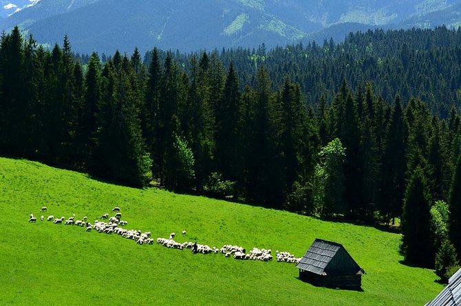 Zakopane Tour from Krakow – Highland Experience & Stunning Views - Pickup and the ride south to the Tatras